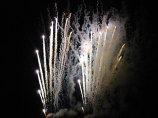 fireworks in the night sky white