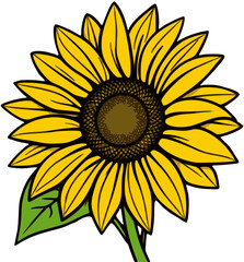Fototapeta premium sunflower vector illustration