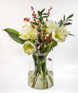 White Amaryllis and red holly berry bouquet in a clear glass vase on a white background.