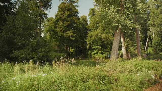 Spreewald
