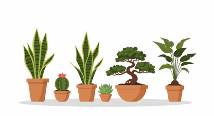 Collection of indoor potted plants including cactus, bonsai, and snake plant for home decoration, gardening design, and lifestyle vector illustration.