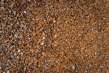 Seashells and pebbles rest on sandy beach, showcasing a variety of earthy tones. Close-up view highlights details and textures of smooth stones and weathered shells, perfect for coastal or travel
