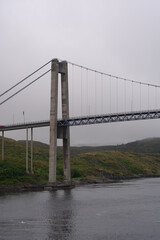 Side of a suspension bridge with a forest in the back