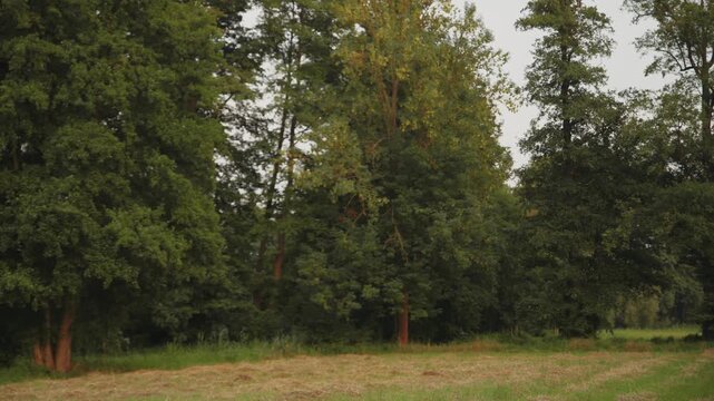 Paddeln im Spreewald