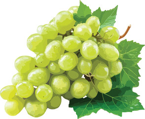 Fresh bunch of green grapes with lush green leaves isolated on a white background