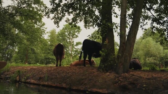 Paddeln im Spreewald