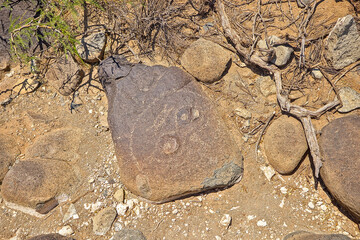 The Three Rivers Petroglyphs are outstanding examples of prehistoric Jornada Mogollon rock art. The basaltic ridge rising above the Three Rivers Valley contains over 21,000 petroglyphs.