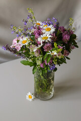A bouquet of wildflowers on a white background: daisies, clover, and others
