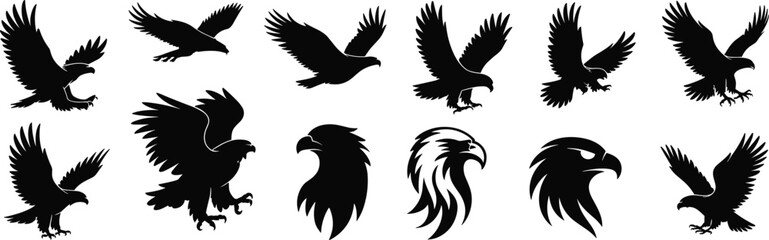 Eagle silhouette illustration collection, twelve black bird designs in flying, landing, perched poses and stylized heads, detailed vector art for wildlife, raptor, predator, nature themes