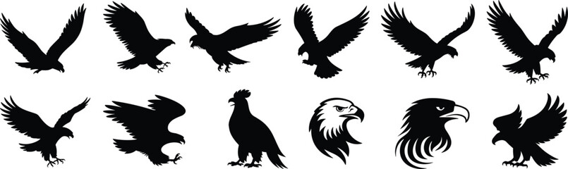 Eagle silhouette illustration collection, twelve black bird designs in varied flight poses and head profiles, detailed vector art for wildlife, raptor, predator, majestic nature themes
