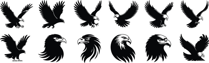 Eagle illustration collection, twelve unique black and white designs featuring flying poses and detailed heads, majestic bird vector art for wildlife, raptor, predator, nature themes