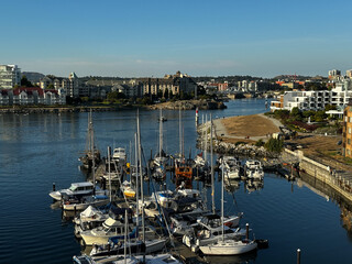 boats in the harbor