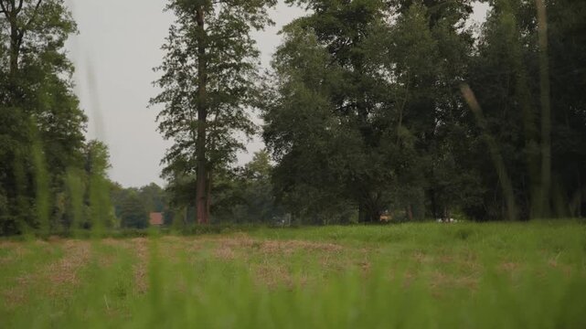 Spreewald