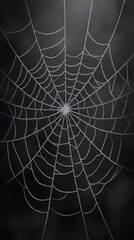Obraz premium Intricate spider web glistening with dew drops against a dark blurred background, showcasing delicate patterns and natural beauty in a serene environment
