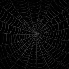 Obraz premium Intricate spider web glistening with dew drops against a dark background, showcasing delicate patterns and textures, representing nature's artistry and craftsmanship