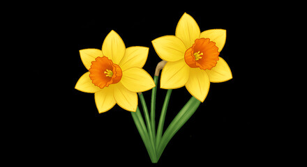 Two Yellow Daffodil Flowers Growing Together on One Stem, Spring Bloom, Garden Flower Close-Up, Botanical Photography, Fresh Flower Image