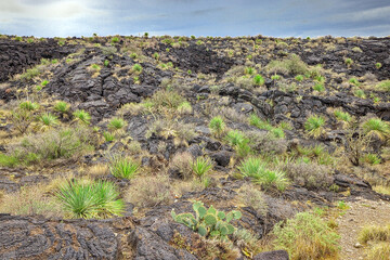 Approximately 5,000 years ago, Little Black Peak erupted and flowed 44 miles into the Tularosa...