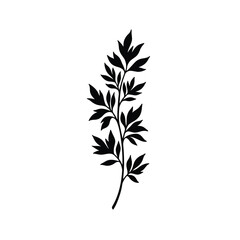 Black leaf branch silhouette plant