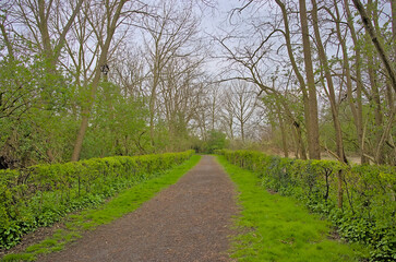 hiking trail with  through a lush green spring forest in Bourgoyen nature reserve, Ghent, Flanders, Belgium 
