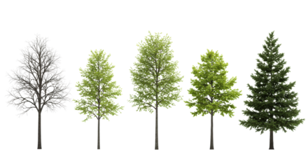 Five distinct trees, from bare deciduous to vibrant evergreen, individually showcased against a clean, light studio background with soft high-key lighting, embodying natural growth and enduring