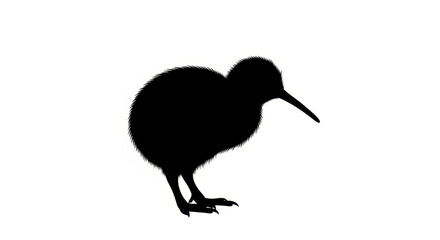 Silhouette of a kiwi bird against a stark white backdrop displaying simple design