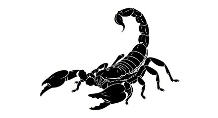 Illustrative black and white scorpion design with intricately detailed exoskeleton artwork
