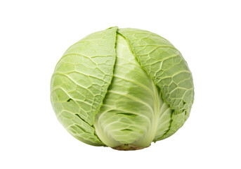 Fototapeta premium Pristine, vibrant light green head of cabbage, perfectly formed with intricate leaf veins, isolated on a transparent studio backdrop. Concept of healthy eating and freshness