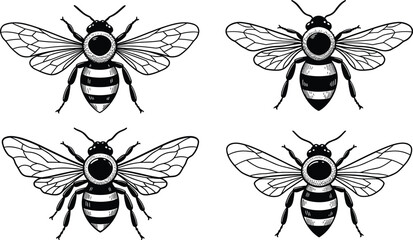 Bee illustration set, detailed black and white vintage insect drawings, honeybee sketch collection for tattoos, botanical art, nature and eco design