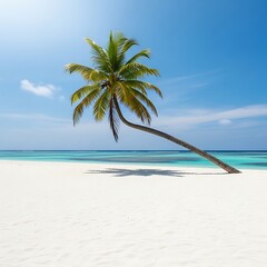 Tranquil Palm Beach Escape for Dream Vacations and Tropical Getaways. Perfect for Travel Blogs, Tourism Marketing and Summer Promotion Campaigns.