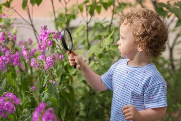 little girl exploring the nature with magnifying glass outdoors, Curious kid exploring nature by...