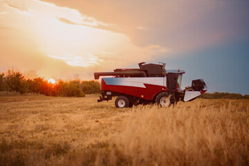 Combine harvester harvests wheat in the field. Agriculture background. Harvest season