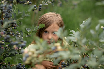a close-up portrait of a child peeking through a bush of berries