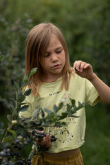 a girl with blonde hair uses her fingers to show how many small berries she has picked
