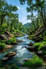 Obraz premium Mountain stream, lush forest