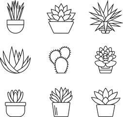 Stylized yucca plant illustration with abstract botanical elements