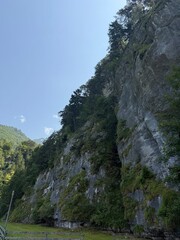 mountain river in canyon  in the mountains 