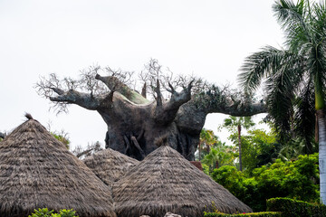 Majestic tree embracing nature's beauty against lush tropical backdrop