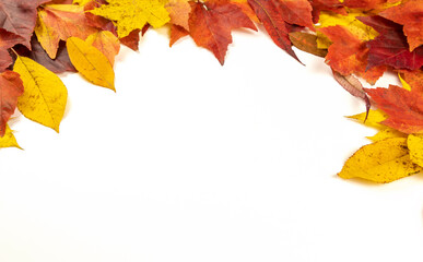 A frame on a white background of colorful autumn leaves.