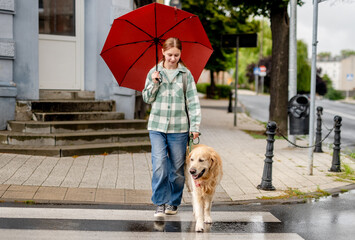 Girl Crossing Road With Golden Retriever And Umbrella Dog