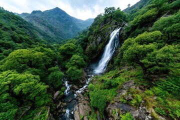 Mountain waterfall cascading through lush forest