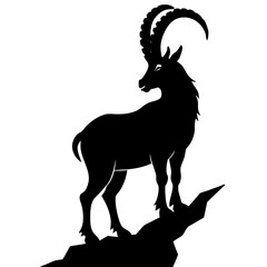 goat on white background