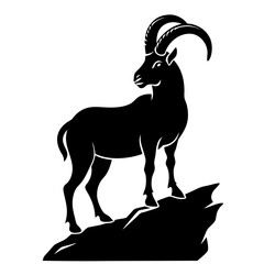 goat on white background