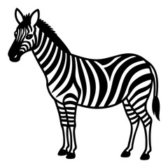 zebra vector illustration