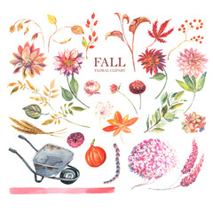 Wheelbarrow with pumpkin. Dahlia fall floral watercolor clipart. Autumn summer pink flowers. Digital paper print. Hand draw illustration