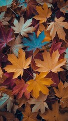 Autumn Maple Leaves: Warm, Earthy Tones, Fall Season Background Texture