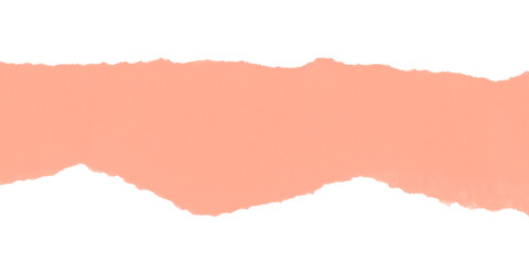 Abstract salmon colored blob with pixelated edges on a black background in a simple composition