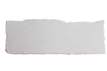 Single torn paper piece on transparent background
