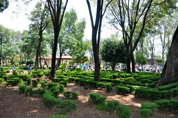 Obraz premium Coyoacan district- - Cidade Del mexico 