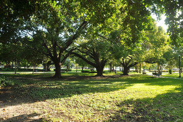 Flamingo park -Miami