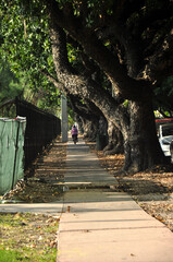 11th street - Miami Beach 